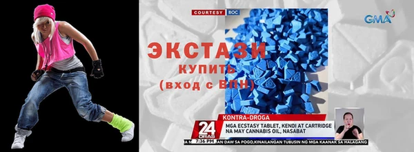 гидра Вяземский