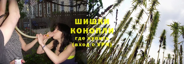 гашик Вязники