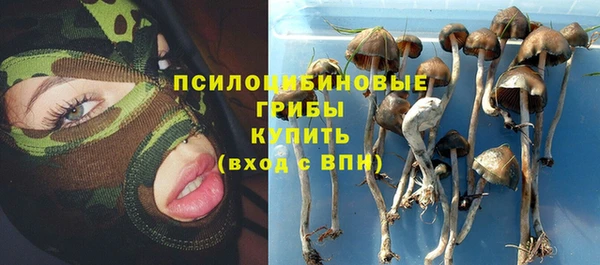 сатива Тихвин