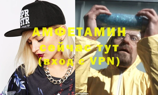 гидра Вяземский