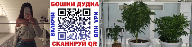Марихуана THC 21%  блэк спрут сайт  Долинск 